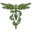 Vet Sentry Icon