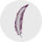 Free Medical Billing Icon