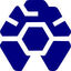 CGIntel Logo
