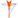 SciLeads Logo