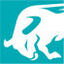 Fi911 Logo