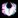 HuntBug Logo