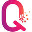 QFS LedgerSystem Logo