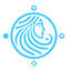 Eiravox Logo