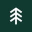 Spruce