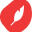 NeoFlow Logo