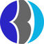BringBackData Logo