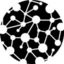 EduCollective