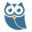 Nattugla Icon