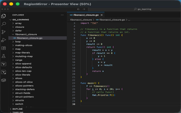 RegionMirror Screenshot 5
