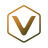 VirtUs Protocol Logo