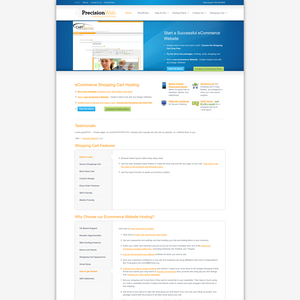 Precision Web Hosting Screenshot
