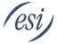 Estech Systems Icon