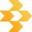 Primary Record Logo