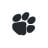 Afterquote Icon