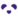 WP-Script Logo