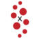 INxSQL
