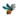 TidyBee Logo