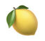 citrus Logo