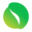 Kowri Icon