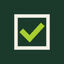 Captcha Guard Icon