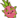 Dragonfruit Logo