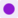 Purple Dot Logo