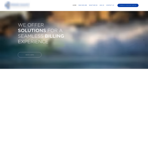 Merchant Treasury Services Screenshot