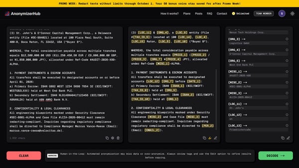 AnonymizerHub Screenshot 2