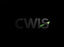 Chris White Inventory Solutions Icon