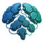 FrankenBrain Icon