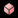 Bibit Logo
