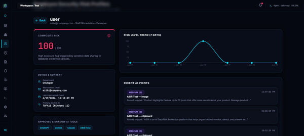 AIDR Screenshot 2
