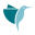 Blue Colibri