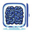 BrainFreeze Logo