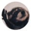 Passkey Server Icon