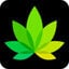IndicaOnline