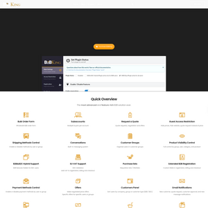 B2BKing Screenshot