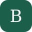 Brightloop Icon