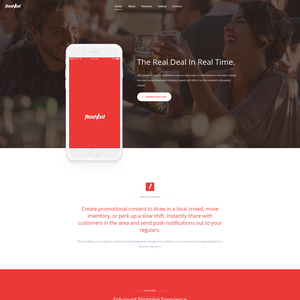 FlashAd Screenshot