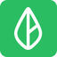 Branch Icon