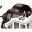 Rally Bulls Logo