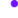 Wisemann Logo