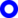 Neighborhood Champion Logo