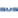 SWS Computersysteme Logo