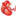 CardioAccess Icon