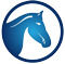 Executive Earn Logo