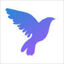 accurants Logo