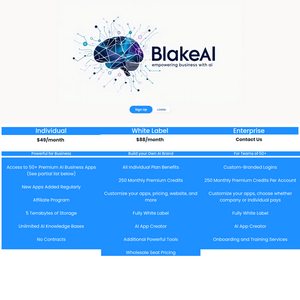 Blake Consulting Screenshot