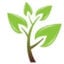 donoma Logo